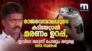 രാജവെമ്പാലയുടെ കടിയേറ്റാൽ മരണം ഉറപ്പാണ് ഇവിടെ മരുന്ന് പോലും ലഭ്യമല്ല- വാവ സുരേഷ്  Snake Bite