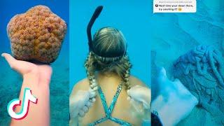 Unbelievable Things in Ocean Coastal Diving Scuba Diving TikTok Compilation