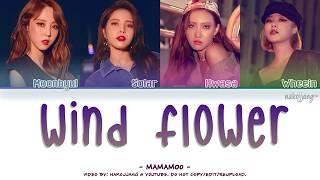 MAMAMOO 마마무 – WIND FLOWER Color Coded Lyrics EngRomHan가사