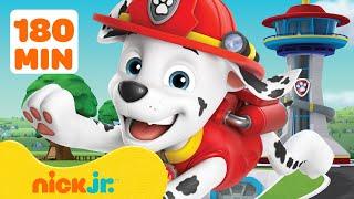 PAW Patrol  De gewaagdste reddingsacties van Marshall van PAW Patrol  3 uur  Nick Jr. Nederlands