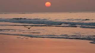 WAVE AT SUNSET SHORT FILM VIDEO HD NO COPYRIGHT VIDEO