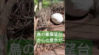 「鳥の巣展望台」からの景色が絶景すぎる件