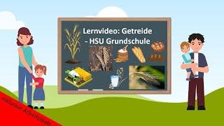 Lernvideo Getreide - HSU Grundschule