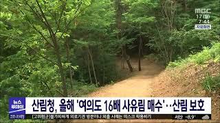 산림청 여의도 16배 사유림 매수해 산림 보호대전MBC