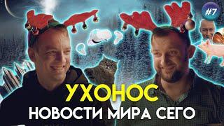 Новости про шоколадные яйца Гордона кот Степан и META  УхоНос #7