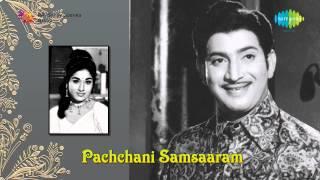 Pachani Samsaram  Paapaayi Navvule song