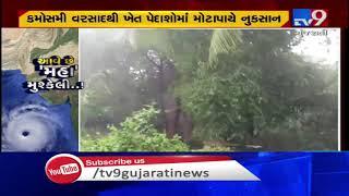 Unseasonal rain destroyed crops in Keshod Junagadh  Tv9GujaratiNews