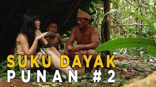 Ternyata kita ketemu binatang unik waktu bareng sama suku Dayak Punan  ETHNIC RUNAWAY