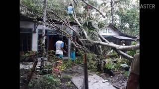 Hujan Lebat dan Angin Puting beliung Terjang tiga desa.bangunreja.bojongsari.rejamulya kab cilacap