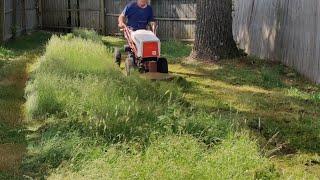 73 Gravely C8 Mulcher. Mowing 14 Inches OVERKILL