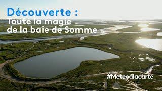 Découverte  toute la magie de la baie de Somme