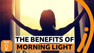 Why is morning light so important?  BBC Ideas