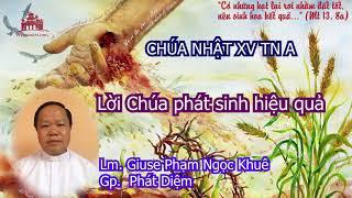 Lm. Giuse Phạm Ngọc Khuê suy niệm Chúa nhật XV TN A Lời Chúa phát sinh hiệu quả