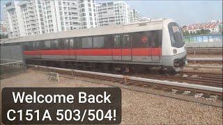 WELCOME BACK SMRT C151A 503504 ride from Tampines to Pasir Ris