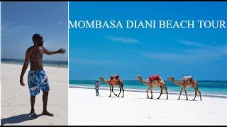 Mombasa City  Diani Beach  Paradise Place to Visit in South Coast Kenya 