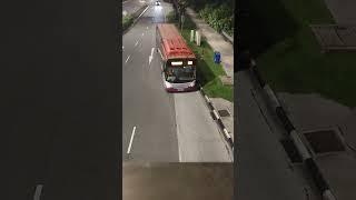 #Bus Horn#singaporebuses# #shorts#transport#shortsvideo
