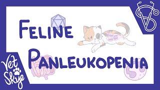 Feline Panleukopenia - causes pathology clinical signs diagnosis treatment