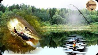 КАК ЛОВИТЬ ЩУКУ НА ПОПЛАВОК С БЕРЕГАТЕХНИКА ЛОВЛИ.fishingbushcraftnaturecamping.