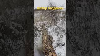 Охота на зайцев #shortvideo #охота #охотаназайца #шортс #shorts #охотавидео #maxhunter