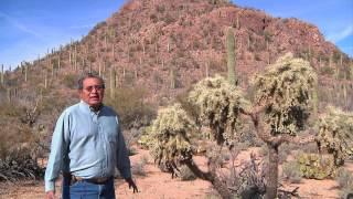 Angelo Joaquin Jr. on Native Seeds SEARCH