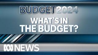 Whats in the federal budget for you?  ABC News