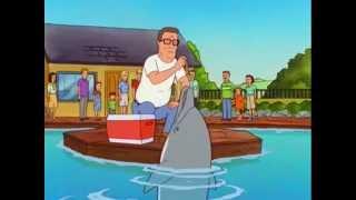 Dolphin punishment -King of the Hill