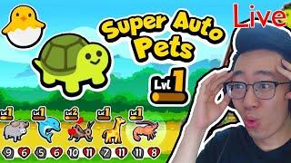 Cờ thú tự động gói cún con mới cực bựa Super auto pets 305