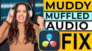 1 TIP will Clean Up Your MUDDY MUFFLED Audio in DaVinci Resolve 18  Quick Tip Tuesday