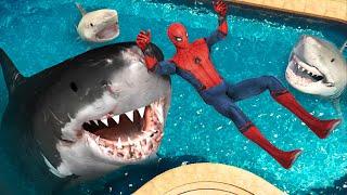 GTA 5 - Megaladon Big White Shark Tiger Shark vs SPIDERMAN ep.3 Epic