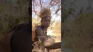 Hadzabe tribe bushmen live simple and happy life in the bush