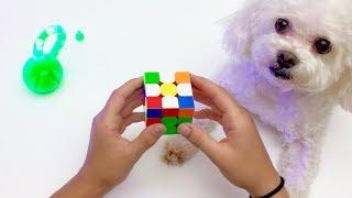 Rubiks Cube Solve 48 Seconds w 3yo Beginner Method    Solve Rubik’s Cube Easy GAN Speed Cube