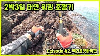 태안 워킹 광어 2박3일 Episode #2.백리포 갯바위편