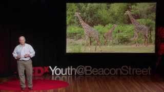 Saving animals saving the future  John Linehan  TEDxYouth@BeaconStreet