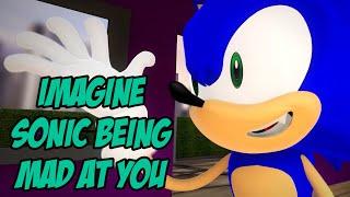 Imagine Sonic Being Mad At You