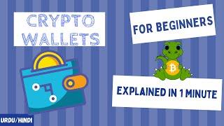 What are Crypto Wallets  Explained in One Minute  Crypto Wallet Kya hai  UrduHindi