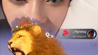 INARA LIVE TIKTOK DAPET GIFT SINGA BANJIR GIFT ALHAMDULILLAH