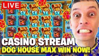 LIVE CASINO STREAM - NEW DOG HOUSE MUTTLEY CREW with mrBigSpin