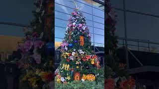 Christmas Tree Stroll in Disney Springs#disneyworld#christmas #disney #disneysprings #christmastree