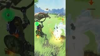 Gold Bokoblin Annihilation BOTW #botw #breathofthewildclip #zelda #zeldamods #zeldabotw