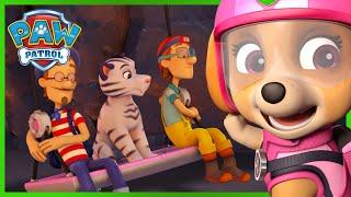 Ultimate Rescue Pups save Turbots and Tigers from a Volcano - PAW Patrol Episode Cartoons for Kids