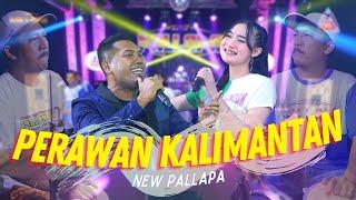 Yeni Inka ft. Brodin New Pallapa - Perawan Kalimantan Official Music Video ANEKA SAFARI