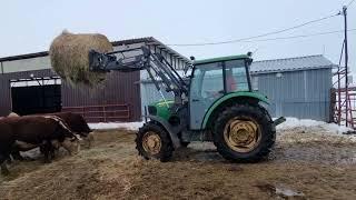 КОРМЛЕНИЕ СТЕЛЬНЫХ КОРОВ СЕНОМ на Новогоднюю Ночь. До свидания 2022 год Ждем Новый - 23 Год