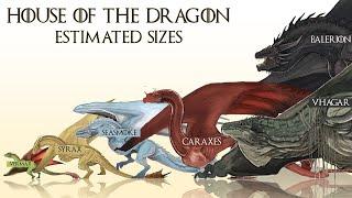 All House Of The Dragon Dragons Estimated Sizes HOTD Size Comparison