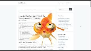 How to run Google Core Web Vitals test via browser