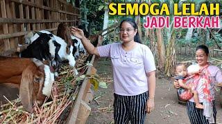 Wanita Tidak Perlu Gengsi Menekuni Ternak Kambing Karena Hasilnya Bukan isapan Jempol Belaka