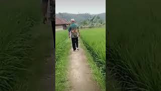 SUASANA PEDESAAN #short #shortvideo #viral