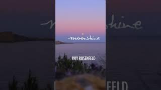 B2 Roy Rosenfeld - Moonshine ADID095 #Shorts