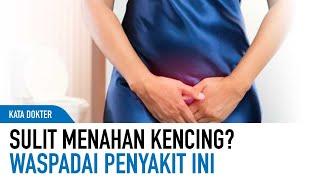 Mudah Mengompol Atau Sulit Menahan Kencing? Mungkin Karena Penyakit Ini  Kata Dokter