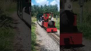 Birthday Boy Special #short #steamtrain #train #miniaturerailway #railway #shortvideo #shorts