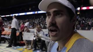 Big Cat Sits Courtside at the Chicago Sky Game